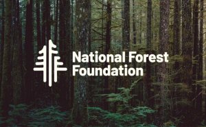 Ford Bronco Cat-Back Exhaust - Rear - Magnaflow - Overland Series - 2.7L - `21-`23