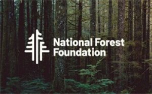 Ford Bronco Cat-Back Exhaust - Rear - Magnaflow - Overland Series - 2.7L - `21-`23