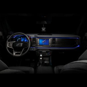 Ford Bronco Fiber Optic LED Interior Kit - Interior - ORACLE Lighting - ColorSHIFT