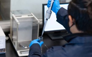 Ford Bronco Classic Catalytic Converter - Magnaflow - Direct-Fit - 5.0L - 1996