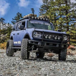 Ford Bronco  Bumper Brush Guard - Front - Westin - XTS - Tex Black - `21-`26