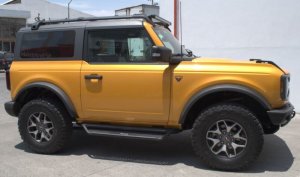 Ford Bronco Side Steps - Go Rhino - Dominator Xtreme D1 - Textured Black - `21-`24