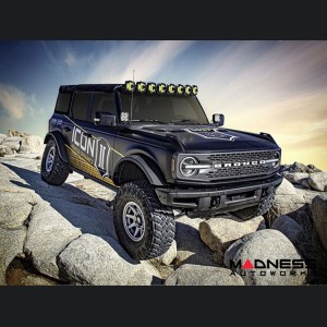 Ford Bronco Shock Absorber - Front - Hoss 2.0 Package
