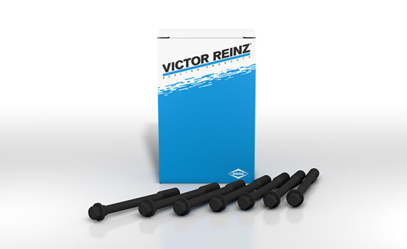 Ford Bronco Cylinder Head Bolts - Victor Reinz