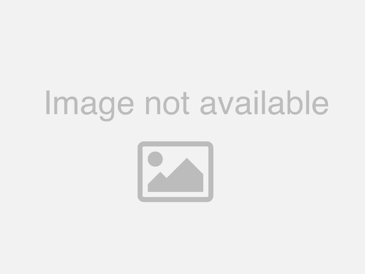 Ford Bronco Classic Coil Spring Kit - Rear - Fabtech